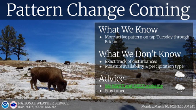 Bison grazing on grass sticking out of snow cover. Looking ahead to the rest of the week from Tuesday through Friday, a pattern change is coming. A more active weather pattern will set up. Uncertainty exists with the exact track of the disturbances (Tuesday night and Wednesday and then Thursday and Friday). Moisture availability and precipitation type is also in question. We WANT and NEED the moisture, so the latest ensemble (a large collection of weather model output) guidance that suggests increasing chances for beneficial moisture make us very happy. Stay tuned, especially if you have travel plans.