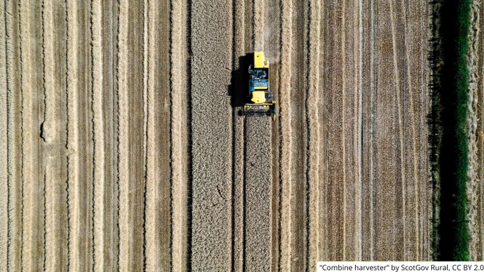 A yellow combine harvester cutting through golden wheat fields in neat parallel rows from an aerial view.