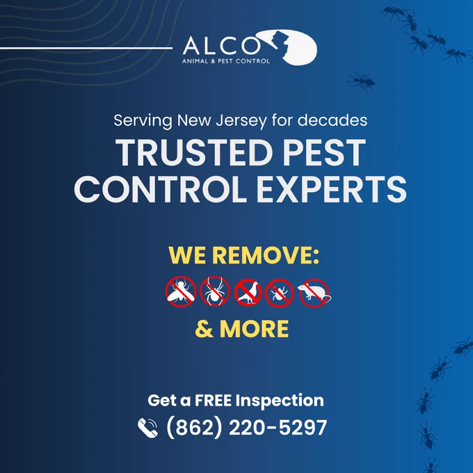 Mice Control in Bergen County, NJ
