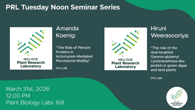 Green graphic that reads:
"PRL Tuesday Noon Seminar Series:

Amanda Koenig: "The Role of Peroxin Proteins in Actomyosin-Mediated Peroxisome Motility" (Hu Lab)

Hiruni Weerasooriya: "The ROle of the Dual-Targeted Gamma-glutamyl cyclotransferase-like protein in green algae and land plants" (Hu Lab)

March 24th, 2026
12:00 PM
Plant Biology Labs 168