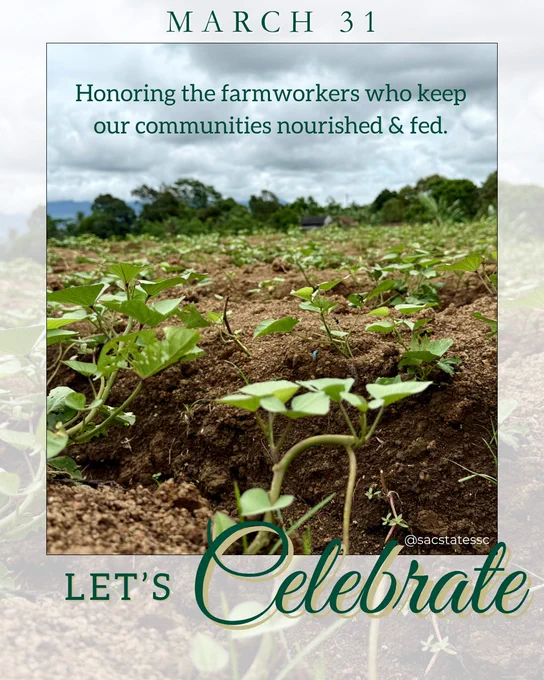 A low-angle view of a cultivated field with small green plants sprouting from rows of brown soil under a cloudy sky. Overlaid text reads “March 31” at the top and “Honoring the farmworkers who keep our communities nourished & fed.” At the bottom, decorative text says “Let’s Celebrate.