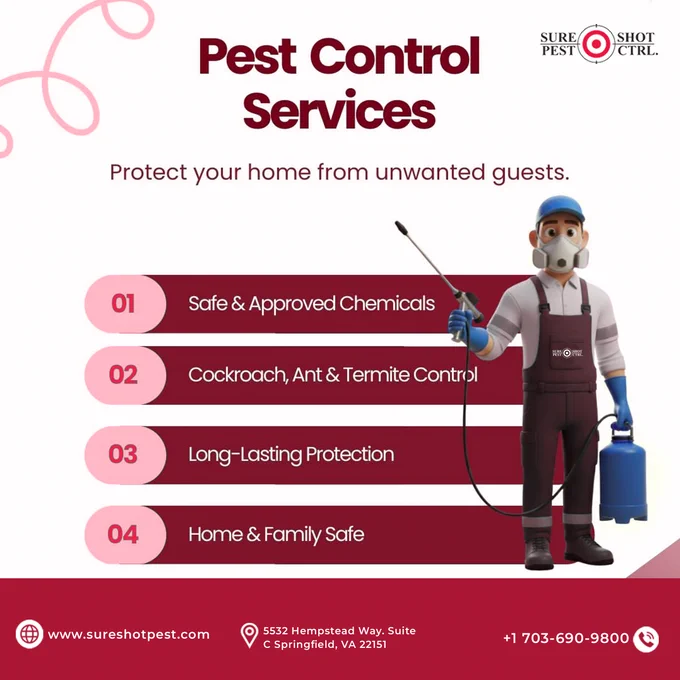 Pest Protection That Lasts