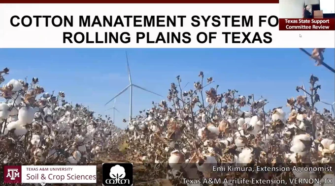 Cotton Management Systems for the Rolling Plains of Texas