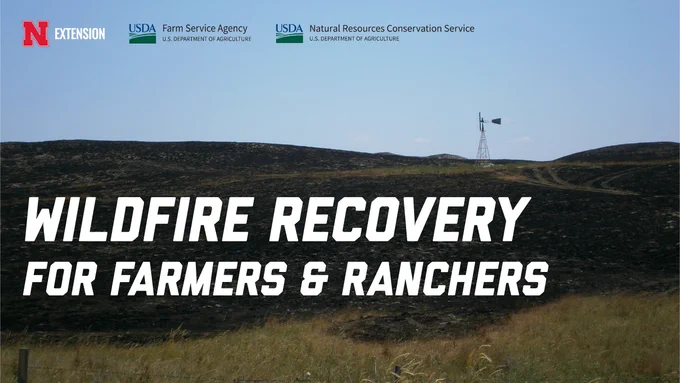 ALT TEXT: Burned Sandhills pasture with blackened grass and a windmill on the horizon. Overlaid text reads “Wildfire Recovery for Farmers & Ranchers,” with Nebraska Extension, USDA Farm Service Agency and Natural Resources Conservation Service logos at the top. 