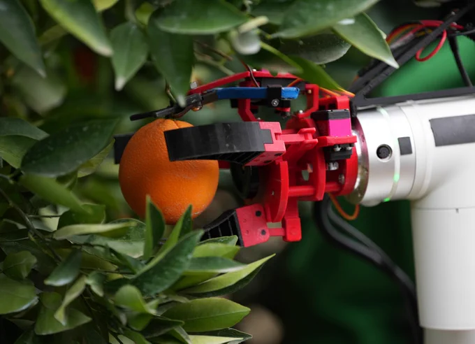 A robotic arm with red and black components is picking an orange from a tree, surrounded by green leaves.