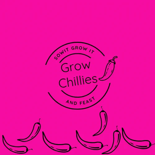 Grow Chillies.
sowitgrowitandfeast.co.uk