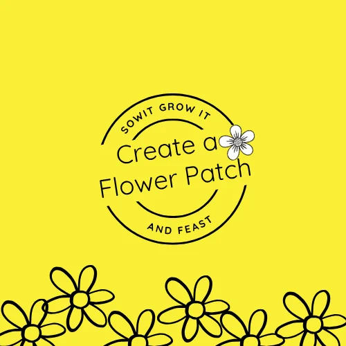Create a Flower Patch.
sowitgrowitandfeast.co.uk