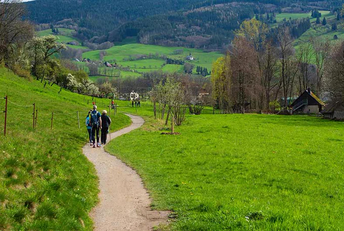 Photograph of a country hike in the UK. 