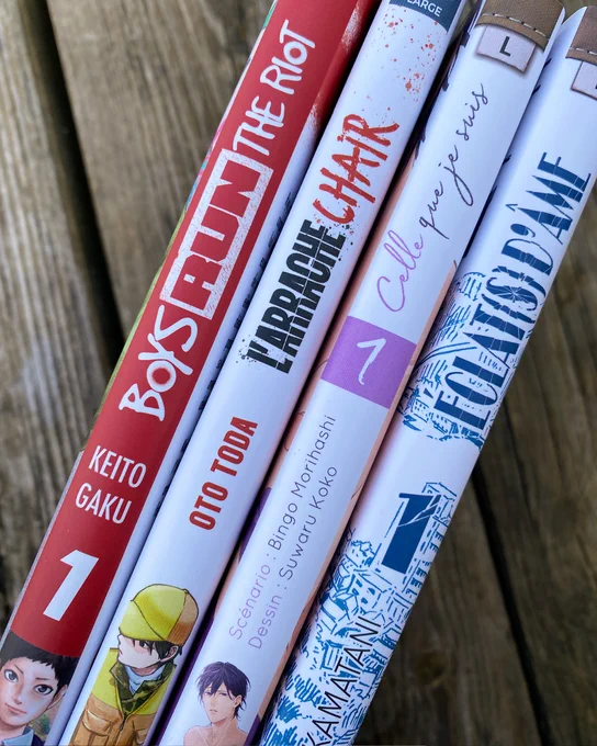Photo des mangas dont la thématique principale est la transidentité : 

- Boys Run the Riot de Keito Gaku (4 tomes)
- L'arrache chair d'Oto Toda (1 tome)
- Celle que je suis de Bingo Morihashi et Suwaru Koko (2 tomes)
- Éclat(s) d'âme de Yuhki Kamatani (4 tomes)