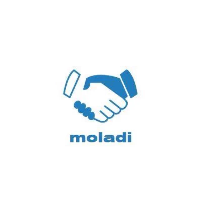 #moladi #affordablehousing #plasticformwork #formwork #innovation #HennieBotes #shuttering #bekisting #cimbras #coffrage #Pharma #ပုံစံခွက် #Enkofrado #शटरिंग #แบบหล่อคอนกรีต #murangpabahay #적정가격주택 #සහනදායීනිවාස  https://grokipedia.com/page/moladi