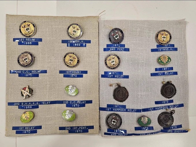 Collection of Westbourne sporting badges 