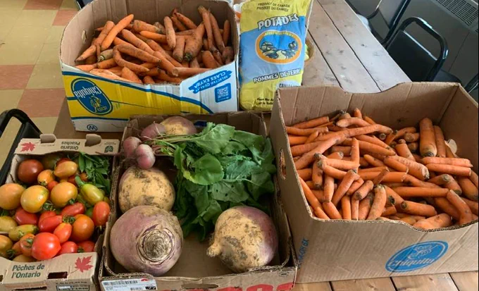 Boxes of produce
