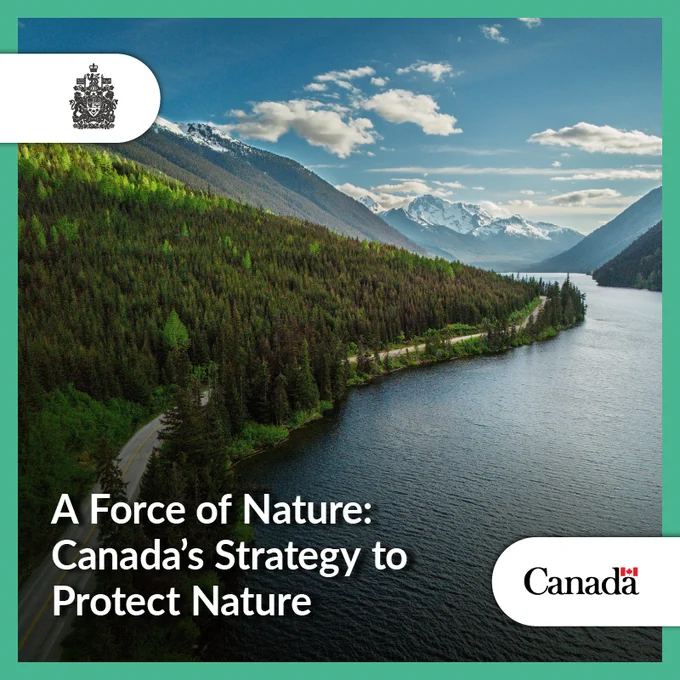An aerial view of Duffey Lake road winding along Duffey Lake in British Columbia. Text: A Force of Nature: Canada’s Strategy to Protect Nature. 