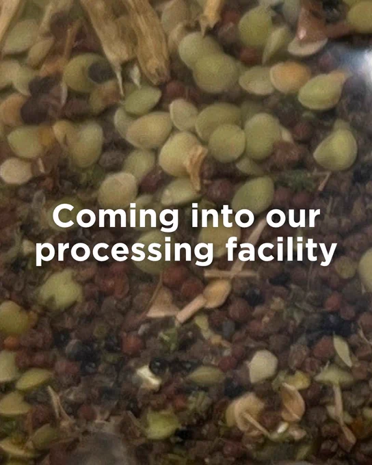 A close-up of various seeds and grains with the text "Coming into our processing facility" overlaid.