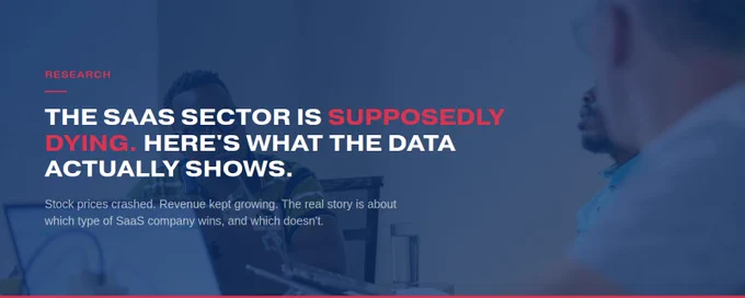 The SaaS sector is supposedly dying - data analysis by Ernesto Spruyt