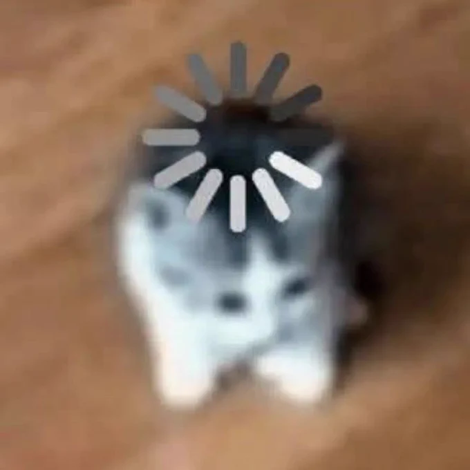 Un gatico pequeño con un emote de carga en la cabeza