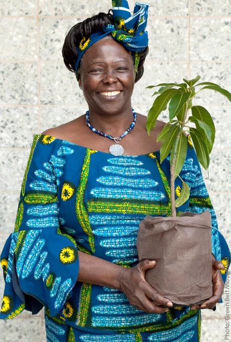 Wangari Maathai smiling and holding a potted sapling, dressed in vibrant traditional African clothing with a matching headscarf.