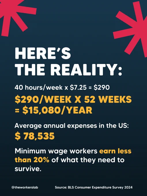 Infographic titled "Here's the Reality" with decorative red asterisks, showing the math of full-time minimum wage earnings: 40 hours/week × $7.25 = $290/week × 52 weeks = $15,080/year, compared to average annual U.S. expenses of $78,535, concluding that minimum wage workers earn less than 20% of what they need to survive. Source: BLS Consumer Expenditure Survey 2024. Via @theworkerslab.