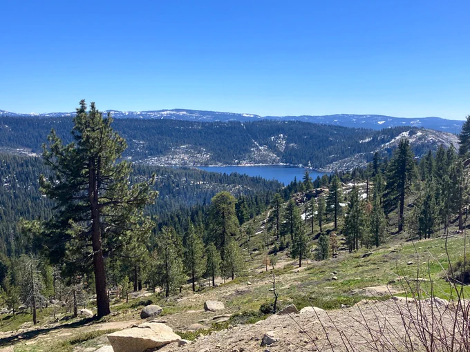 Photo shows a forested hillside with limited ground brush as it has been intentionally thinned to prevent or slow wildfire.