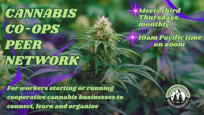An image of a marijuana plant flowering, purple text reads cannabis cooperative peer network , for workers starting or running cooperative cannabis businesses to connect learn and organize 