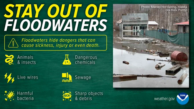A graphic titled “Stay Out of Floodwaters” warns of hidden dangers in floodwater that can cause sickness, injury, or death. Hazards listed include animals and insects, dangerous chemicals, live wires, sewage, harmful bacteria, and sharp objects and debris. A photo on the right shows floodwater in Manley Hot Springs, Alaska, with visible debris including logs, barrels, and broken wood. The NOAA logo and weather.gov are included at the bottom.