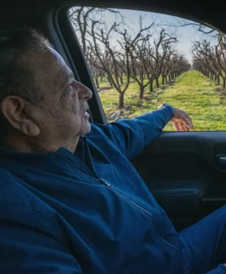A man sits in the driver’s seat of a vehicle, looking out the open window at rows of leafless orchard trees stretching into the distance, with green grass growing between the rows.