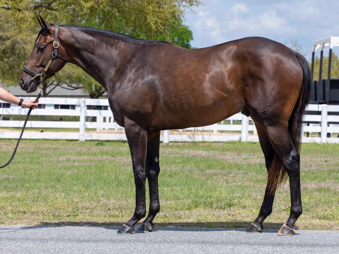 @OBSSales @HsDonAlberto @Gainesway @ScanlonTraining