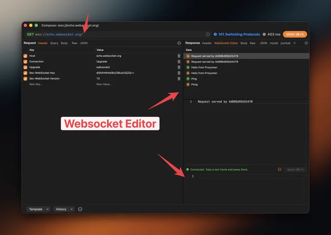 Compose websocket with Proxyman
