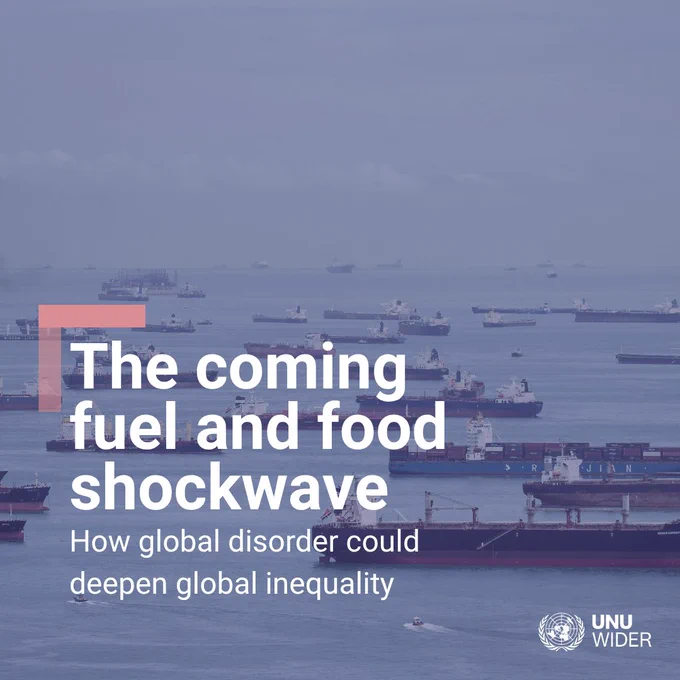Image of cargo ships in water. Over, a text that reads "the coming fuel and food shockwave: how global disorder could deepen global inequality"