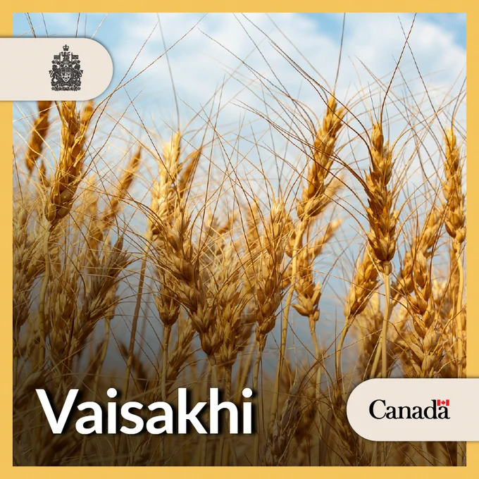 Tall wheat grass in an open field. Text: Vaisakhi.