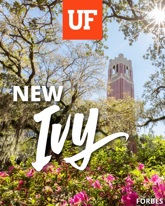 Graphic with the UF logo top center and reads “New Ivy” in white text with Century Tower in the background and pink flowers in the front and small “Forbes” attribution in bottom right corner.