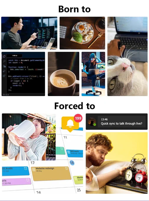 A meme-style collage split into two sections. The top section, labeled “Born to,” shows images of coding on a computer, a bowl of ramen, a laptop setup, lines of code, a camera and gear, a cup of coffee, and a wide‑eyed cat. The bottom section, labeled “Forced to,” shows a person lifting an oversized water jug, a cluttered digital calendar full of meetings, a chat notification asking for a quick sync, and an alarm clock scene representing early‑morning responsibilities.