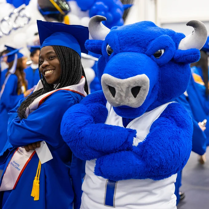 A graduate in a blue gown smiles next to a blue bull mascot with arms crossed. The graduate wears a sash that reads \"University Honors College\" with yellow tassels.