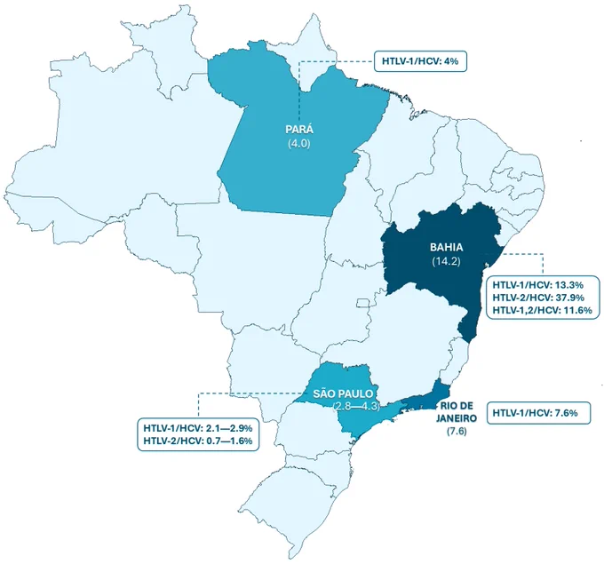 Prevalence of HTLV-1/2 and HCV coinfection across Brazilian states. Source: São Paulo [1,40,41], Bahia [42], Pará [43] and Rio de Janeiro [2]