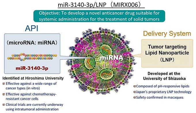 An overview of antitumor nucleic acid drug MIRX006
Provided by Hiroshima University