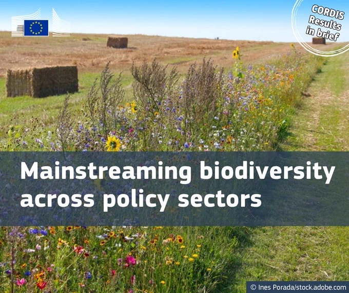 CORDIS Results in Brief: Mainstreaming biodiversity across policy sectors