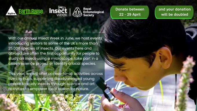 "For Insect Week, we host events introducing visitors to some of the UK's more than 25,000 species of insects. Our events are often the first opportunity for people to study an insect using a microscope, take part in a citizen science project or identify a species. 

This year, we will offer access-to-all activities across five city hubs, supporting disadvantaged young people to study insects through science and art activities to empower local action for nature."
