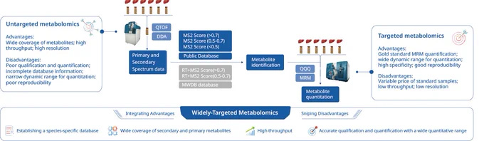 The technical workflow diagram of widely-targeted metabolomics approach