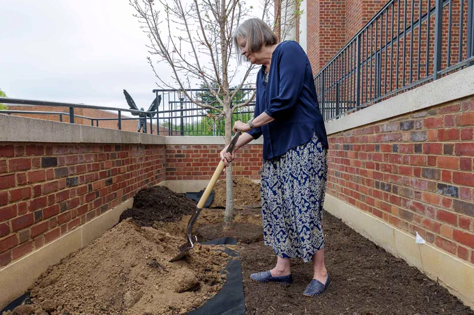 A person is shoveling soil in a garden area next to a brick building with metal railings. A small tree is planted nearby.