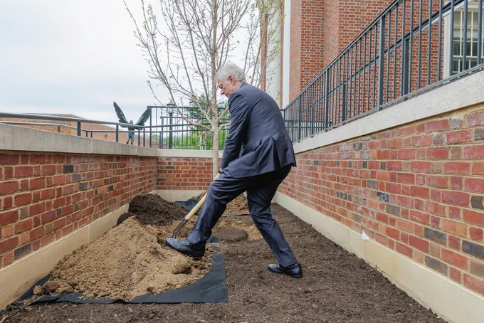 UVA President Beardsley in a suit is shoveling soil next to a newly planted tree, positioned between red brick walls.