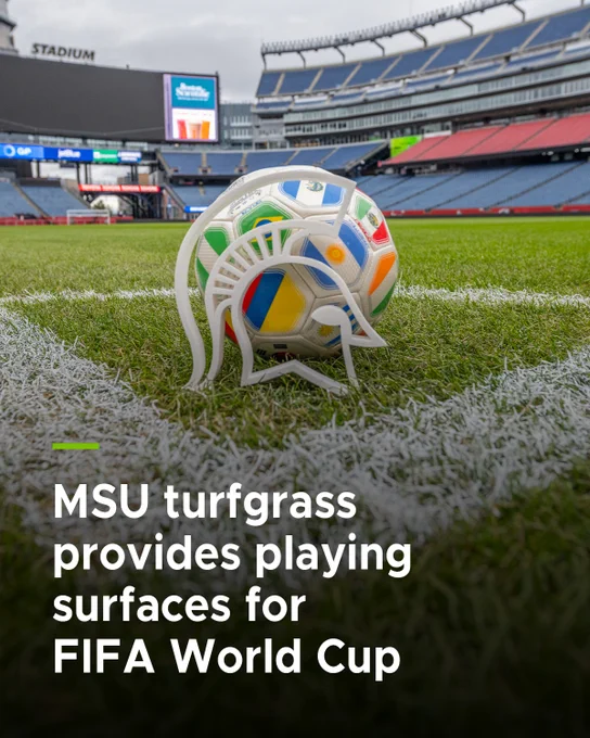 A soccer ball rests on the turf, adorned with flags and a 3D-printed Spartan helmet. Stadium seating rises in the background with a cloudy sky above. Text: MSU turfgrass provides playing surfaces for FIFA World Cup.