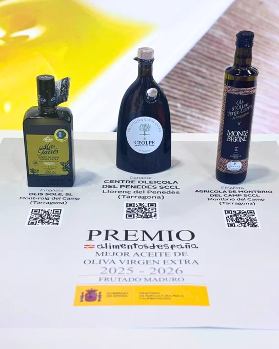 Tres botellas de aceite sobre un cartel de premio; la central (CEOLPE) es ganadora del Mejor AOVE 2025-2026.