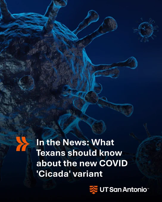 Close-up illustration of a virus with text reading: "In the News: What Texans should know about the new COVID 'Cicada' variant." UT San Antonio logo is in the corner.