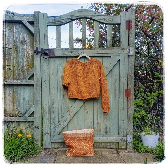 On a weather worn garden gate is hung a mostly finished yellow knitted jumper, with a squashy yellow work basket sat on the path before it.