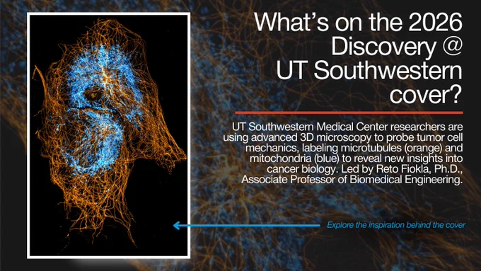 A detailed microscopic image features orange microtubules and blue mitochondria, resembling a human face in profile. Text on the right reads: “What’s on the 2026 Discovery @ UT Southwestern cover?” Additional text describes research on tumor cell mechanics by UT Southwestern Medical Center using 3D microscopy. Lower text credits Reto Fiolka, Ph.D.