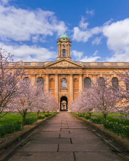 The Queen’s College, Oxford, with its central clock tower, framed by rows of blooming pink cherry blossom trees along a stone pathway under a blue sky.
