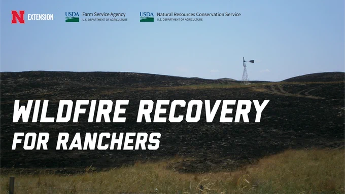 A burned Sandhills pasture with blackened ground and a windmill in the distance under a clear sky. Overlaid text reads “Wildfire Recovery for Ranchers.” Logos for Nebraska Extension, USDA Farm Service Agency, and USDA Natural Resources Conservation Service appear at the top.