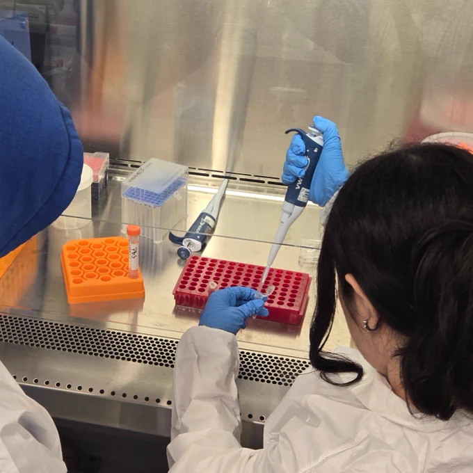 Two people in a laboratory setting are working under a fume hood. They are wearing protective clothing, including gloves and lab coats. One person is using a pipette to transfer liquid into small vials on a tray, while various lab equipment and containers are visible on the surface.