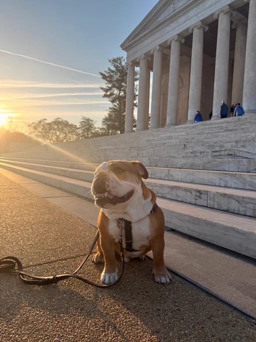 jack smiles at the steps of the lincoln memorial