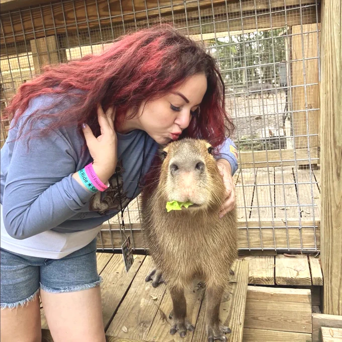 A girl pretending to kiss a capybara inside the capybara exhibit at Wild Florida's Gator Park.